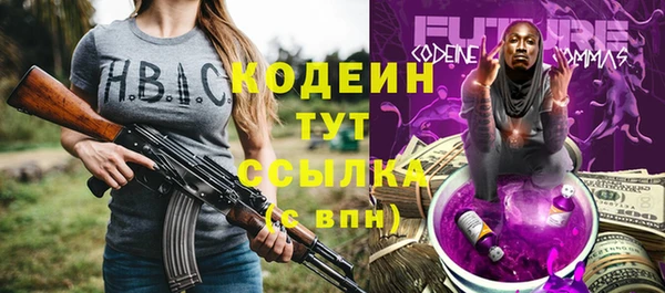 СК Бородино