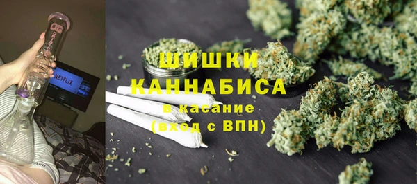 СК Бородино